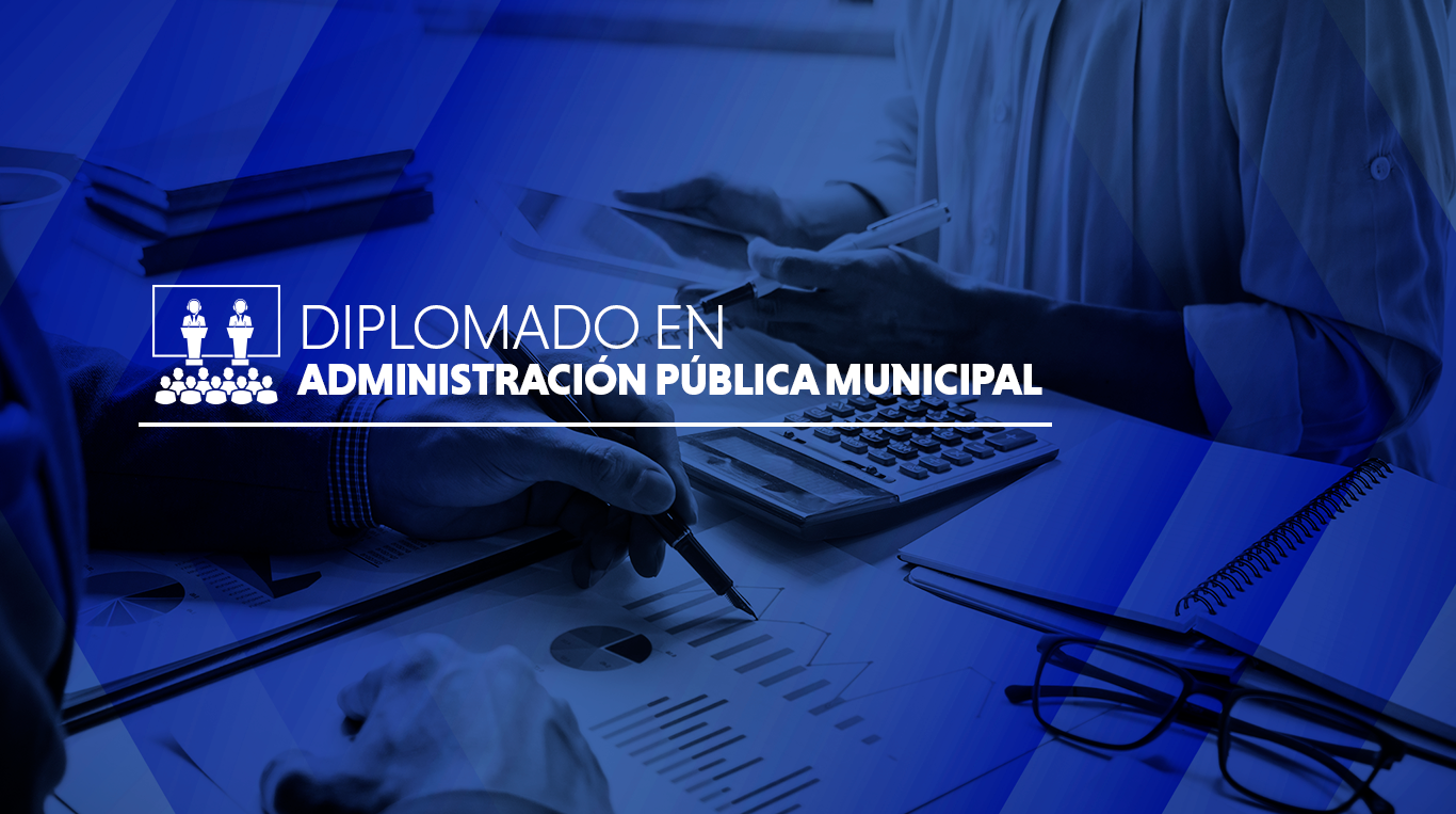 administración publica